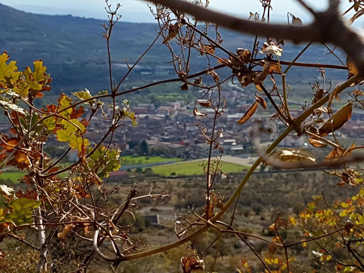Il Vicoletto Bed & Breakfast Frascineto Exterior photo