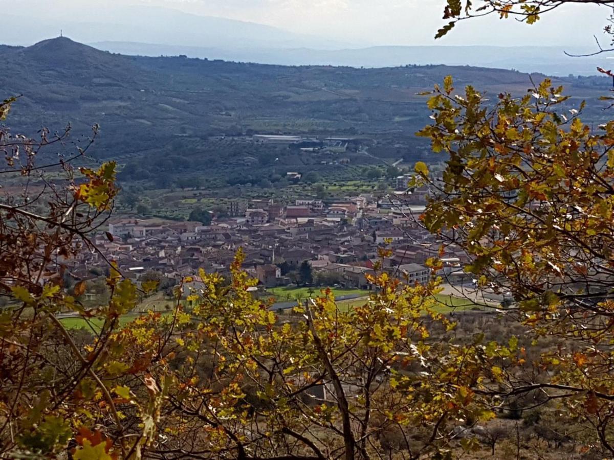 Il Vicoletto Bed & Breakfast Frascineto Exterior photo